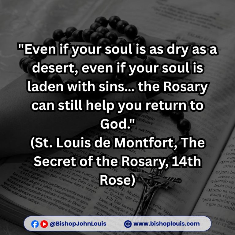 QUOTES ON THE HOLY ROSARY – 11th October